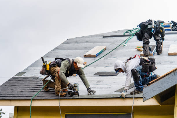 Professional Roofing technician working in Rio, IL